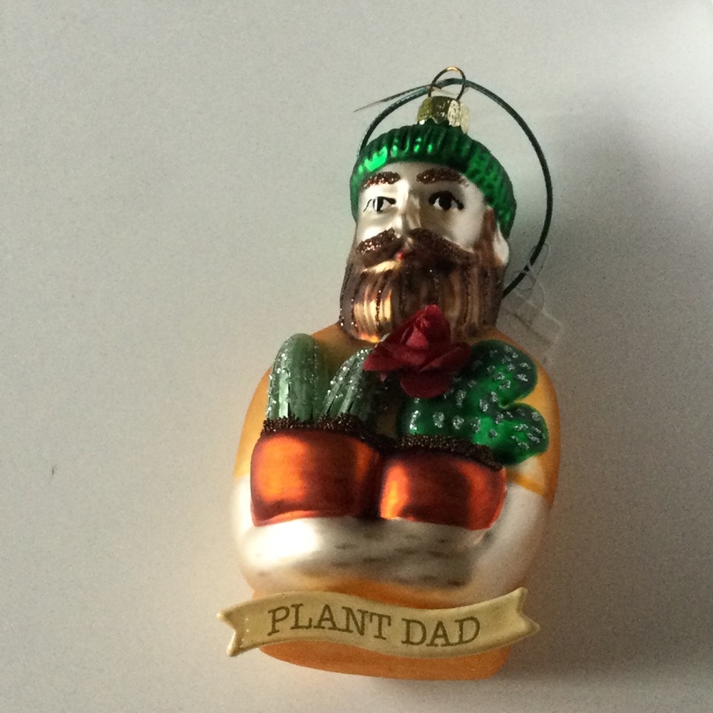 CODY FOSTER PLANT DAD GLASS CHRISTMAS ORNAMENT NEW IN BOX
5” x 2.5”